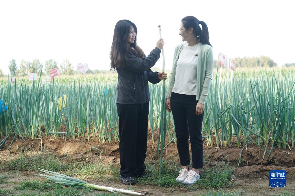 合乐888在线登录注册